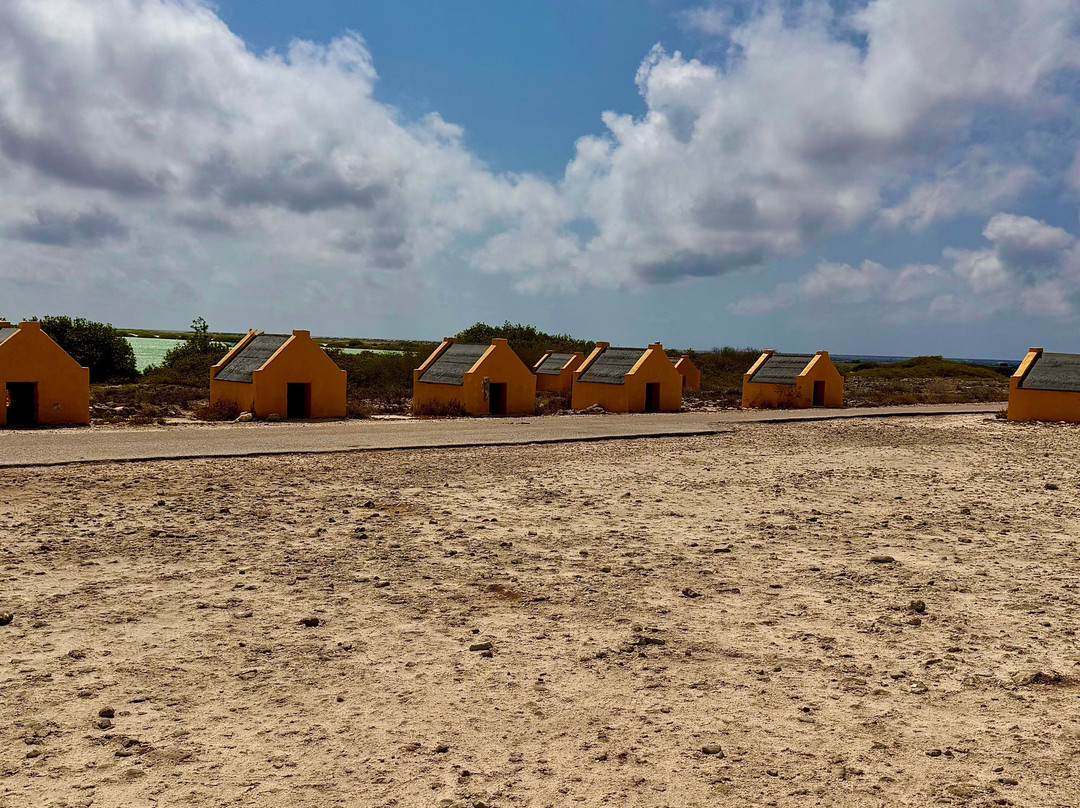 Red Slave Huts-Kralendijk必去景点
