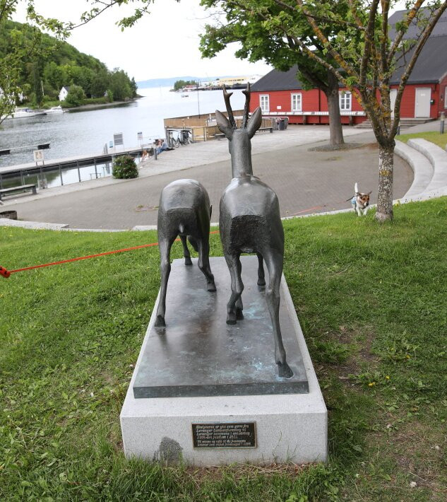 Rådyr i Sjøparken (Les Chevreuils du parc Sjøparken)