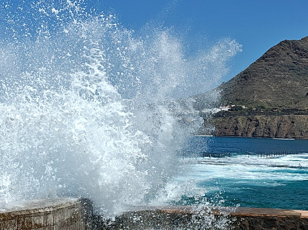 Piscinas naturales de Bajamar y Punta del Hidalgo-Punta del Hidalgo必去景点