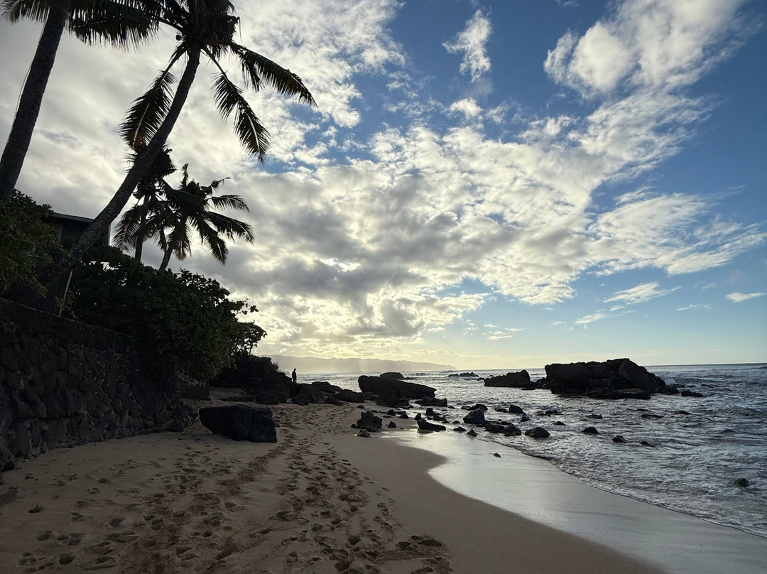 Turtle Bay Beach-卡胡库必去景点