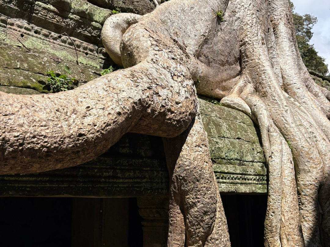 Jimmy  Private Angkor Guide & Driver-暹粒必去景点