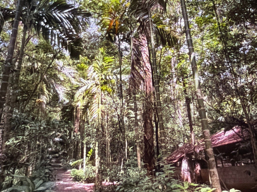 Luck Grove Spice Garden-Matale必去景点