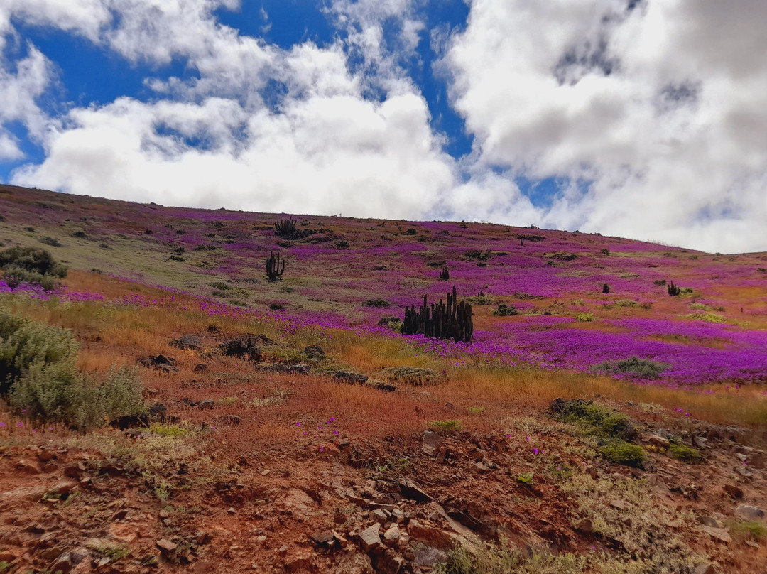 GeoTurismo Atacama-Caldera必去景点