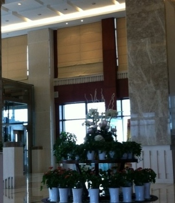 滨海皇家金煦大酒店-客卧