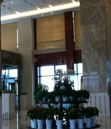 滨海皇家金煦大酒店主图