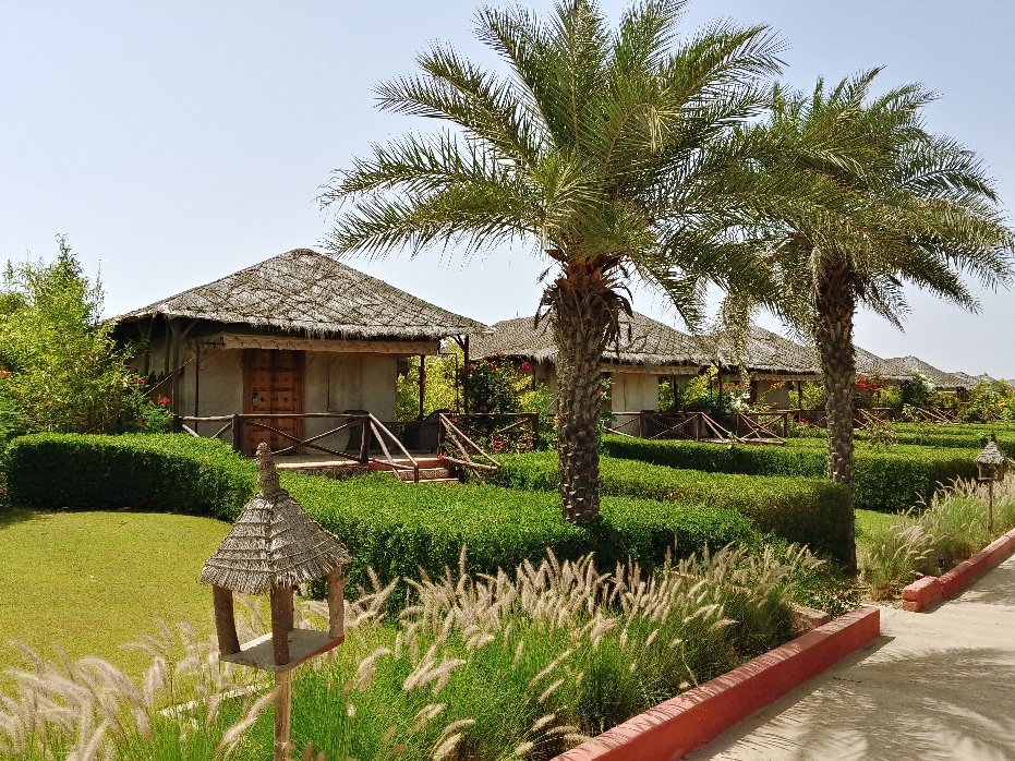 Serena Beach Resort-官方