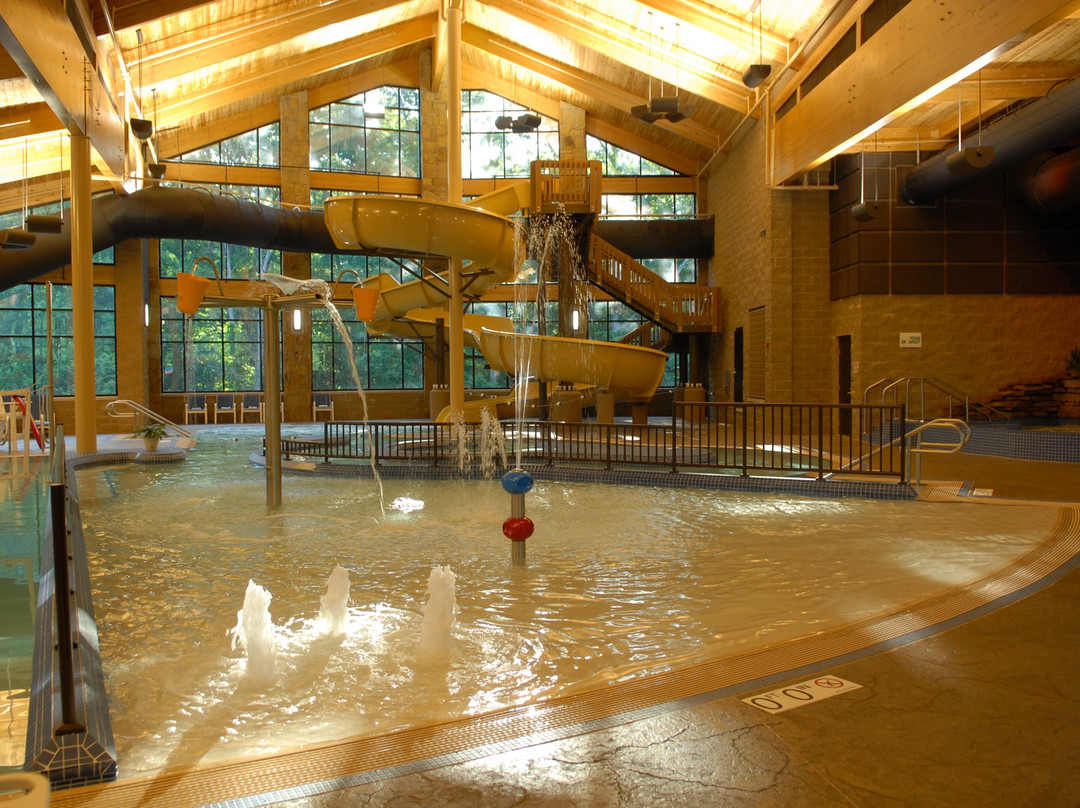 纳什维尔酒店住宿-Abe Martin Lodge and Cabins