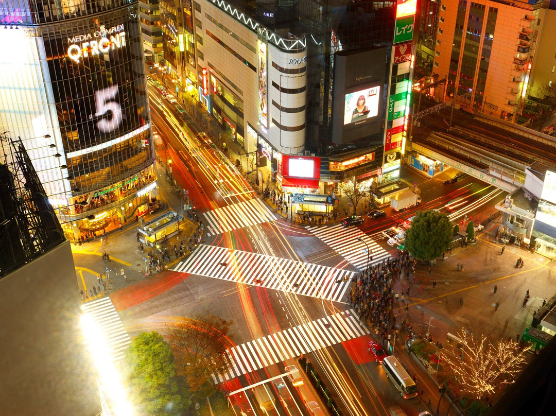 涩谷区旅游攻略图片