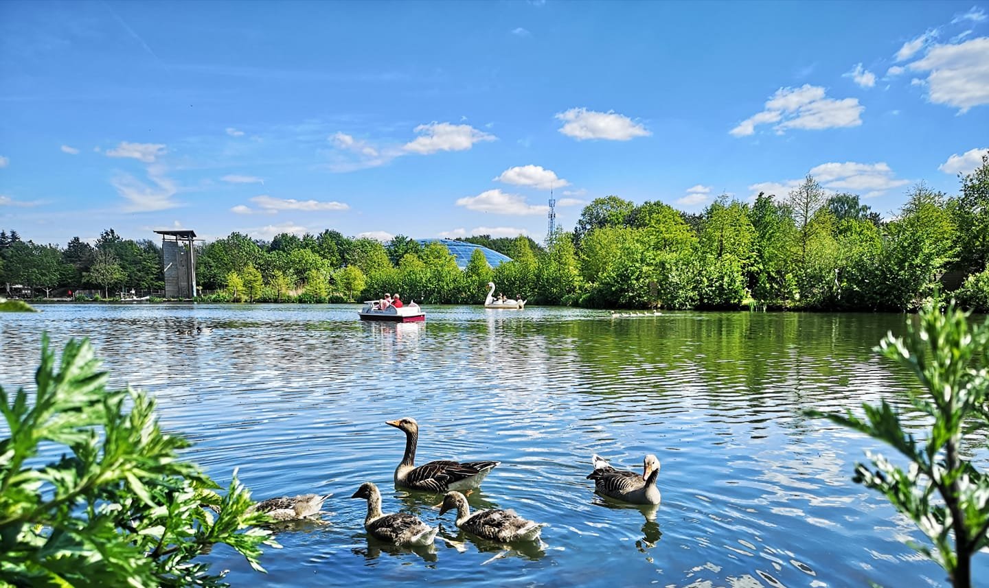 Center Parcs Het Heijderbos-官方