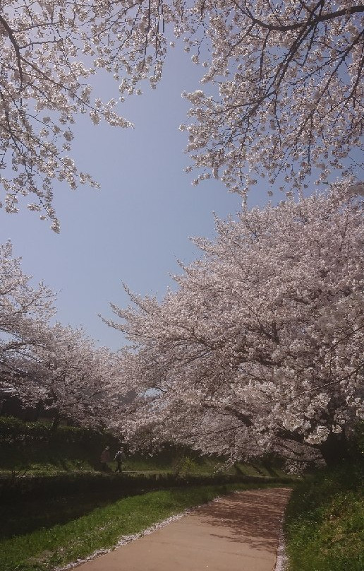 Konosu Fukiage Motoarakawa Hashizukushi-鸿巢市必去景点