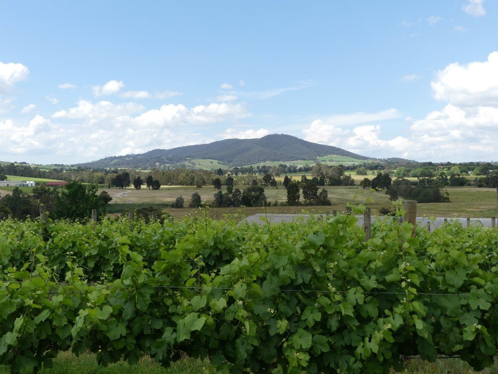 Badger's Brook Winery景点图片