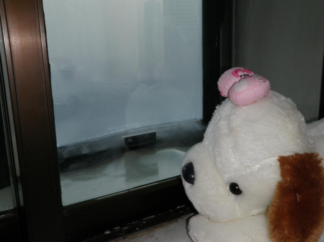 帕弗尔饭店主图