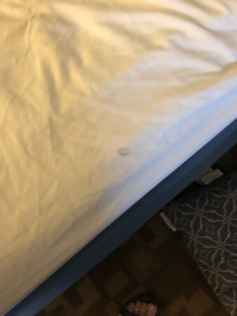 Country Inn & Suites by Radisson, Dunn, NC主图