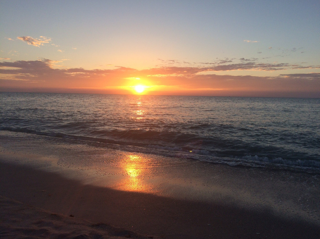 Cayo Costa State Park景点图片