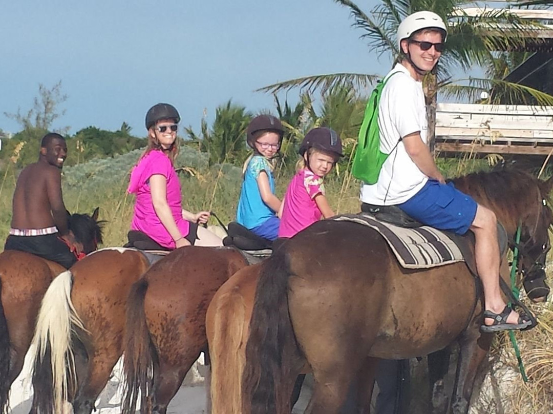 Unique Tours and Rentals-普罗维登西亚莱斯必去景点