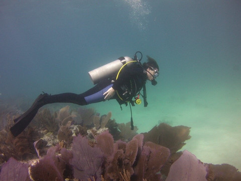 Seamonkey's Scuba Diving-伊斯拉摩拉达必去景点