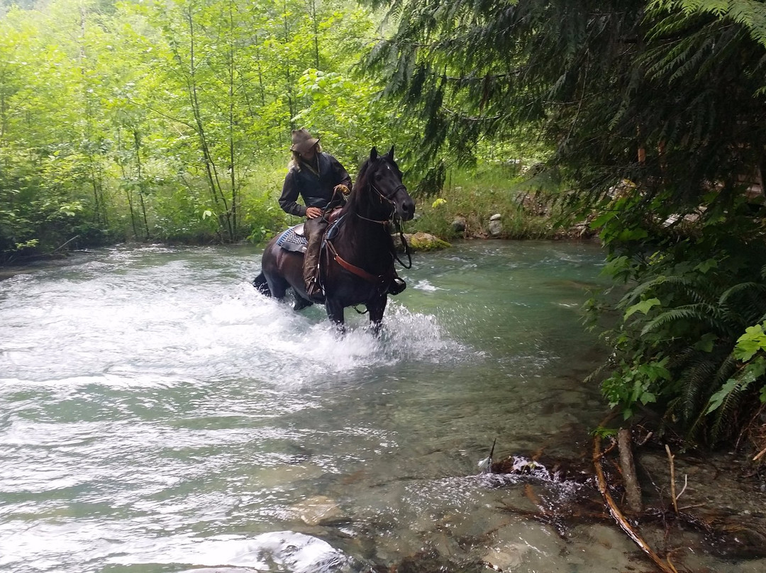 Diamond Head Outfitters-斯阔米什必去景点