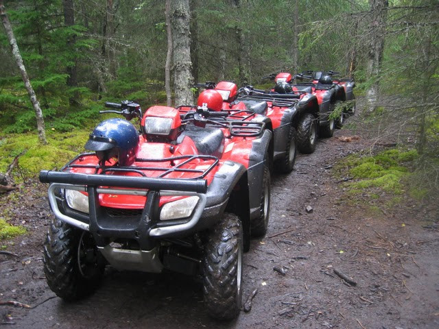 Alaska ATV Adventures景点图片