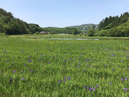 Kakitsubata no Sato景点图片