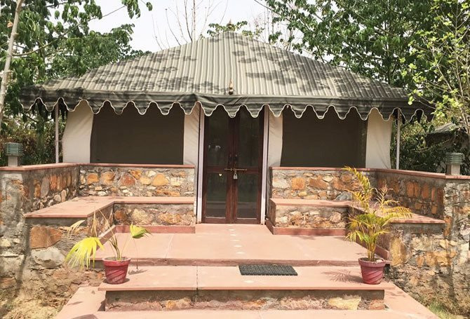 Maa Ashapura Farm Stay Hotel-Ranthambore Resort主图