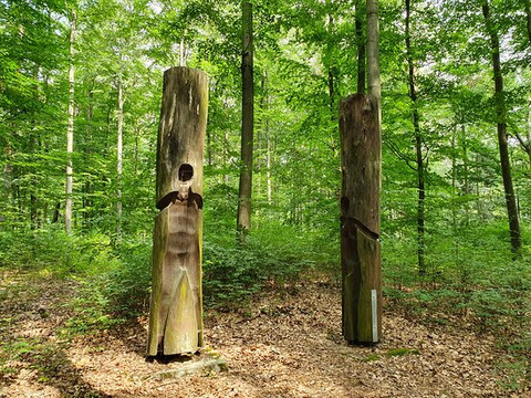 Sauener Wald-Rietz-Neuendorf必去景点