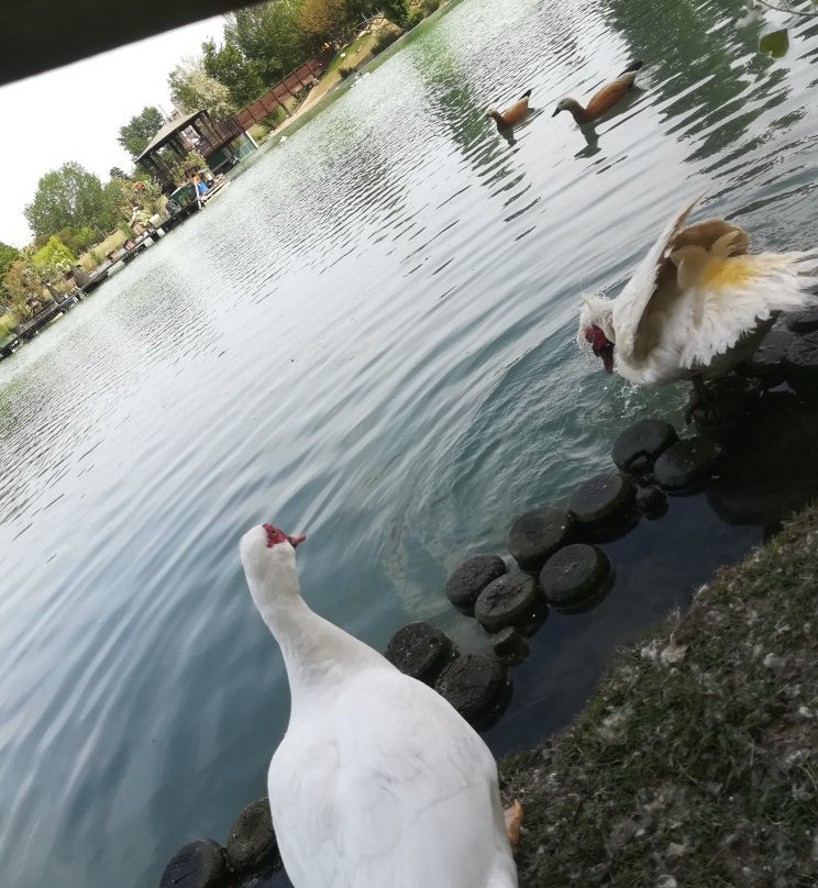 Parco di Via dei Giardini (della Ca' Bura)景点图片