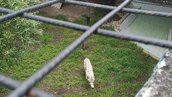 Zoologico de San Martin景点图片