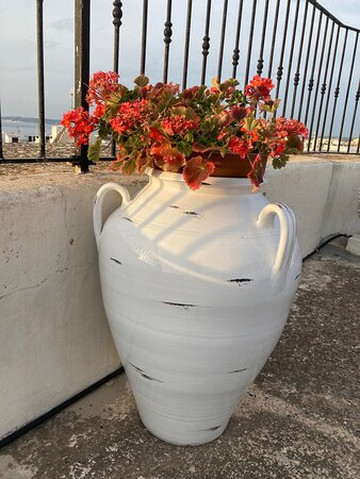 B&B Gallipoli Palazzo Senape De Pace主图