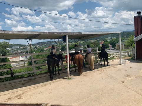 Five Oaks Riding Stables-塞维尔维尔必去景点