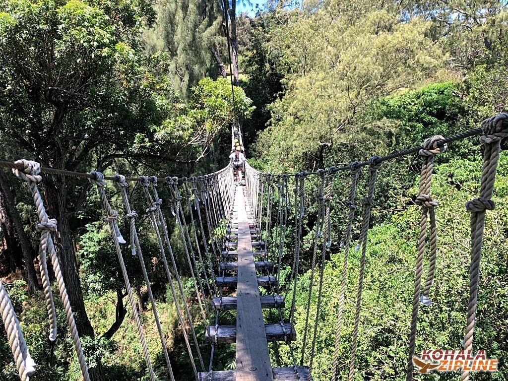 Kohala Zipline-哈威必去景点