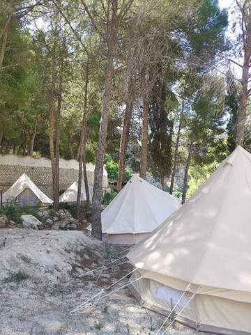 GOinsitu-格拉纳达必去景点