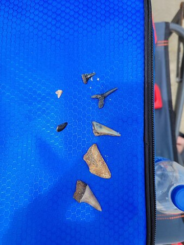 Tybee Island Charters-泰碧岛必去景点