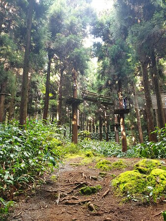 Makes Aventures-圣路易岛必去景点