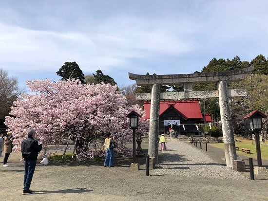 松前神社-松前町必去景点