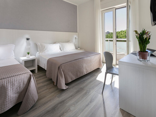 Hotel Zanarini Riccione