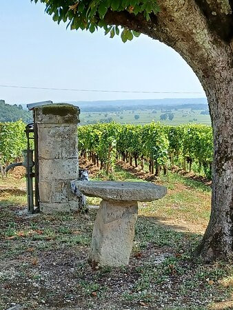 Château Rochebelle Saint-Emilion Grand Cru Classé景点图片