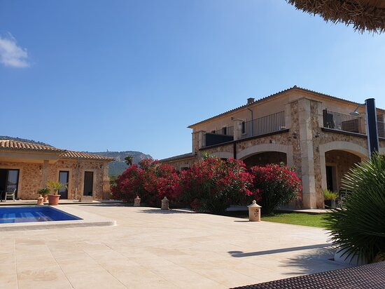Finca Alegria主图