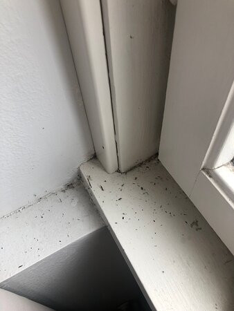 第一维多利亚酒店主图