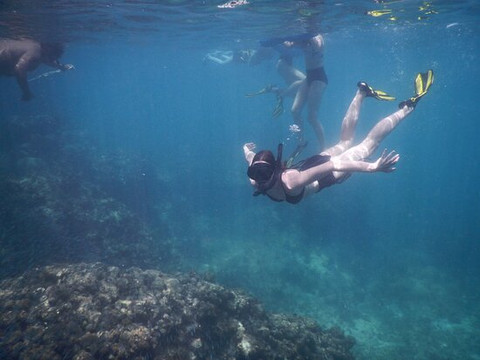Island Reef Tours-法哈多必去景点