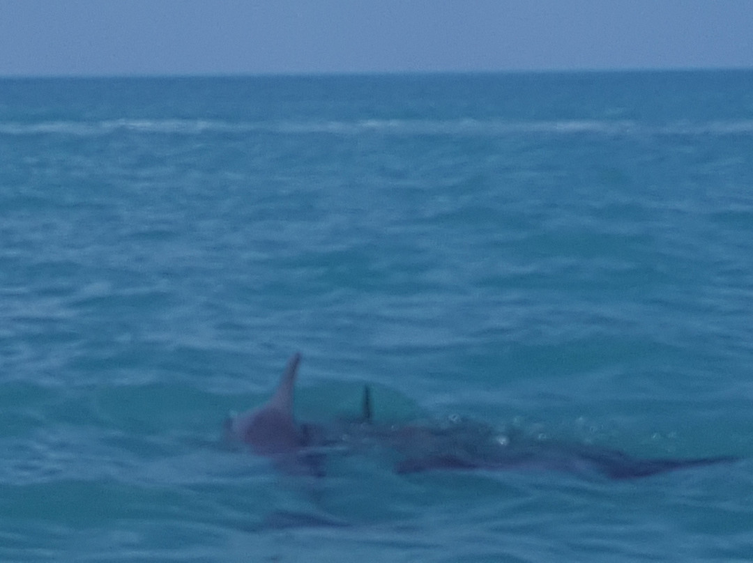 Sian Kaan Visitors Center主图