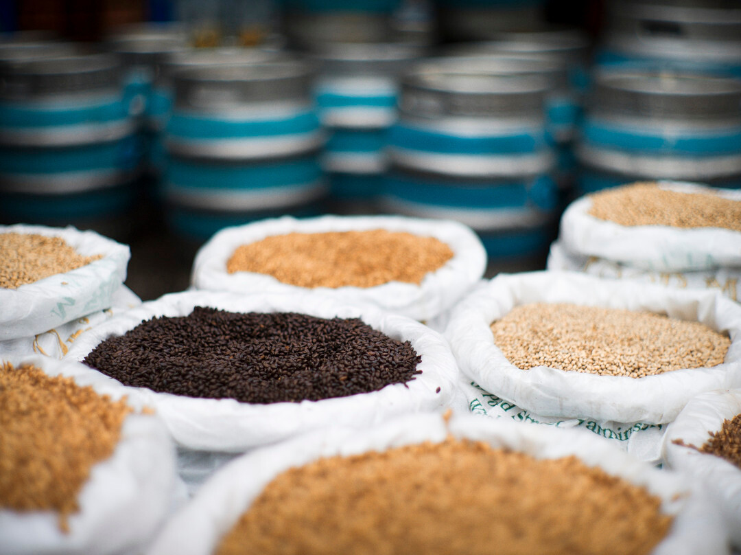 Sambrook's Brewery Tap-伦敦必去景点