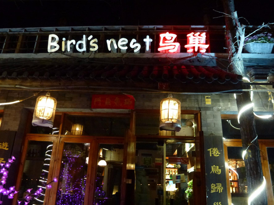 Bird s Nest