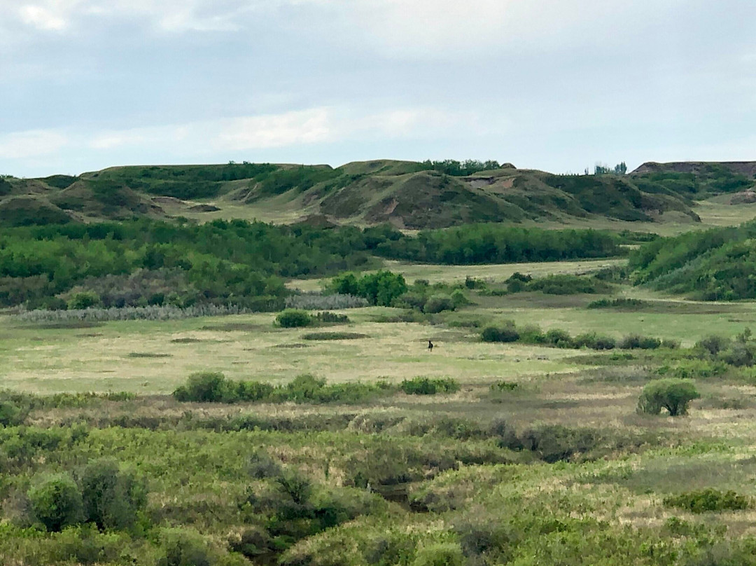 Badlands Ranch Vacations