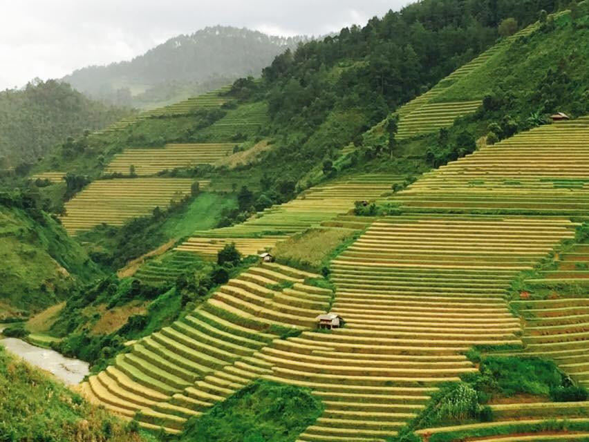 Nghia Lo旅游攻略图片