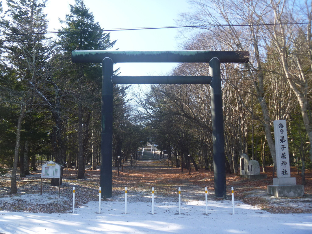 Teshikaga Shrine景点图片