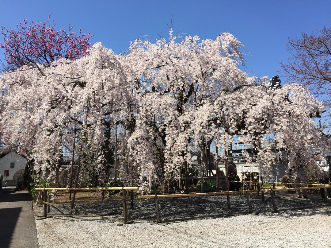 Jizo-in-富士见野市必去景点