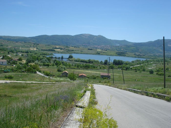 null-Pignola