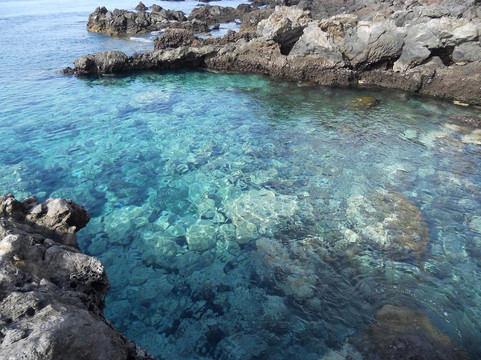 Poris de Abona旅游攻略图片