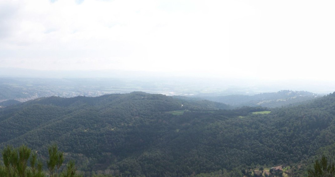Santa Maria de Puiggracios景点图片
