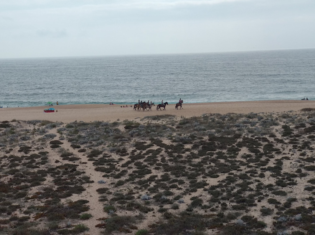 Praia do Norte旅游攻略图片